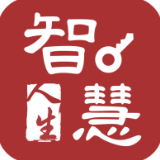 智慧人生
