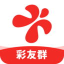 彩友群