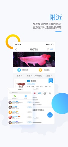 龙巅鱼邻