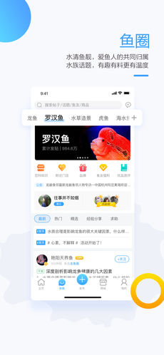 龙巅鱼邻