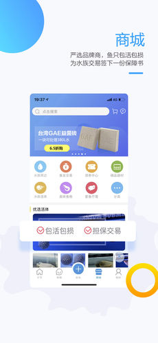 龙巅鱼邻