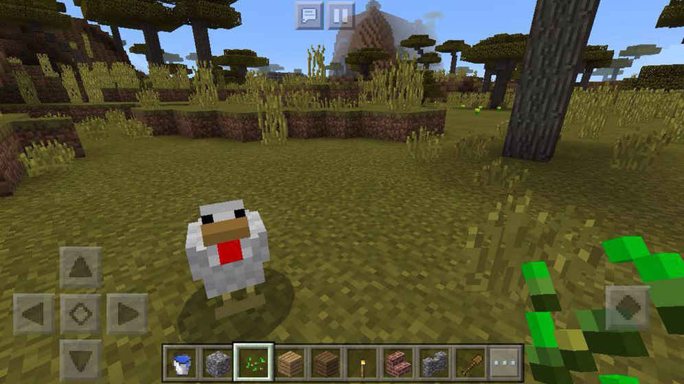 我的世界1.13.0.64213