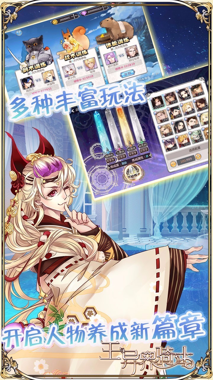 王与异界骑士BT版