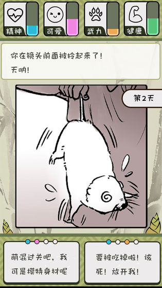 竹鼠:活下去