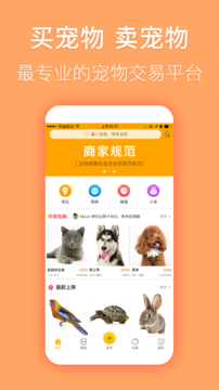 宠物市场