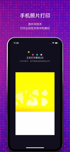 极印