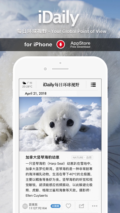iDaily