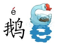 悟空拼音官方版