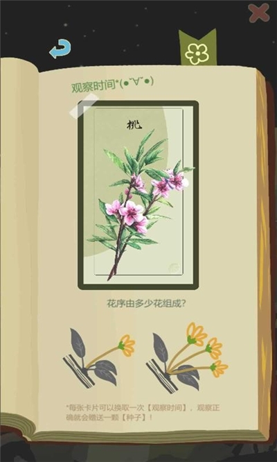 老农种树最新版