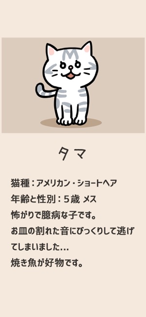 猫侦探的事件簿