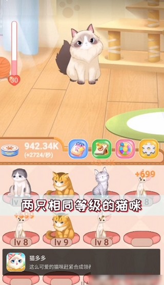 猫多多 提现版