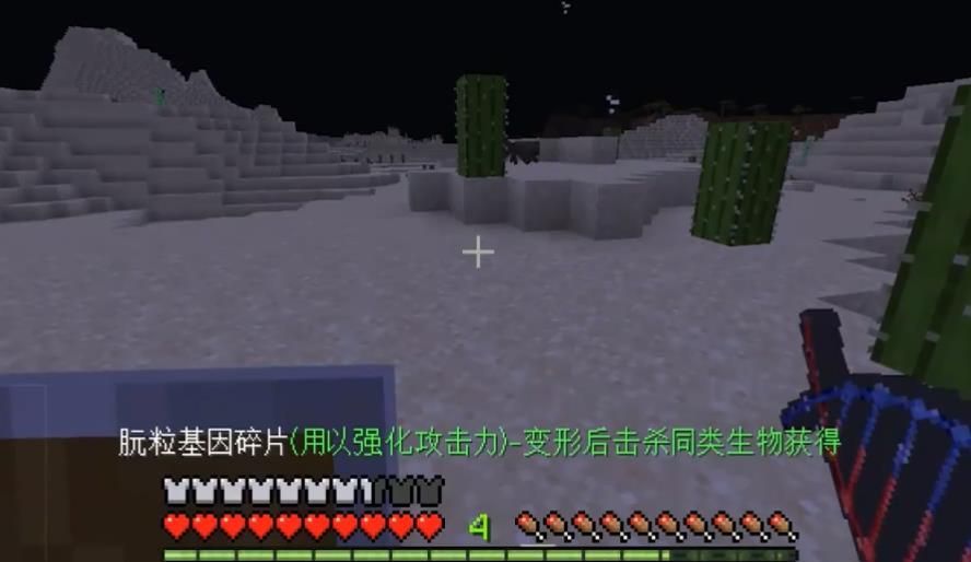 我的世界1.16.0.61