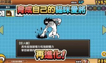 猫咪大战争
