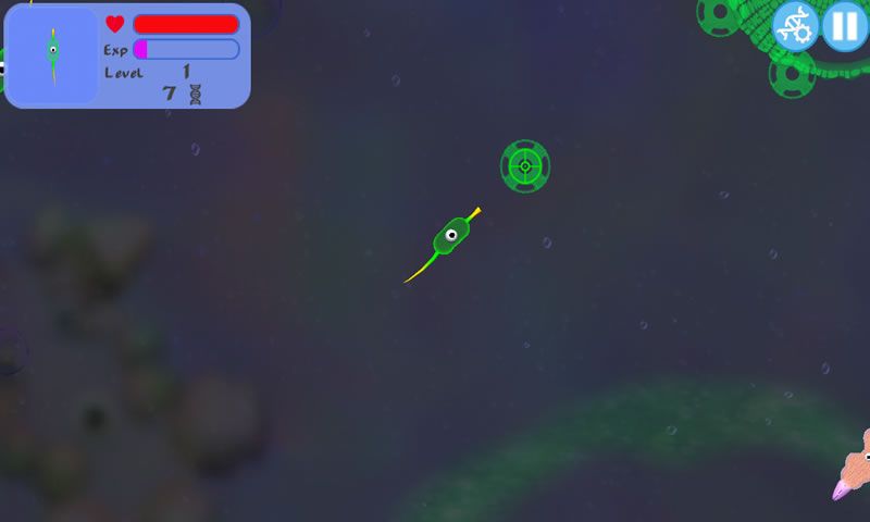 孢子的进化生存