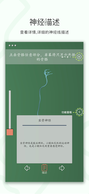 神经系统3D解析图