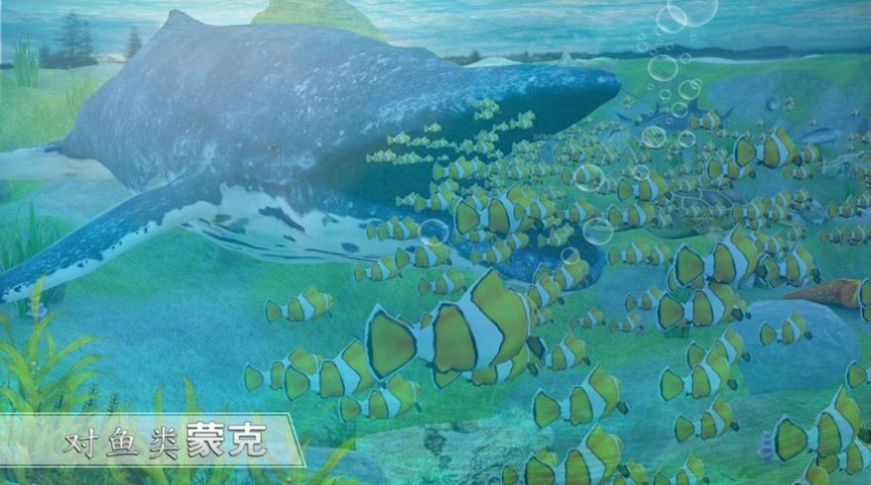 天天养鲸鱼红包版