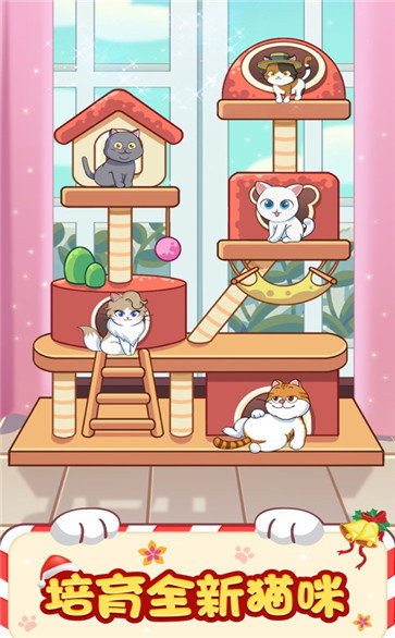 猫咪小家