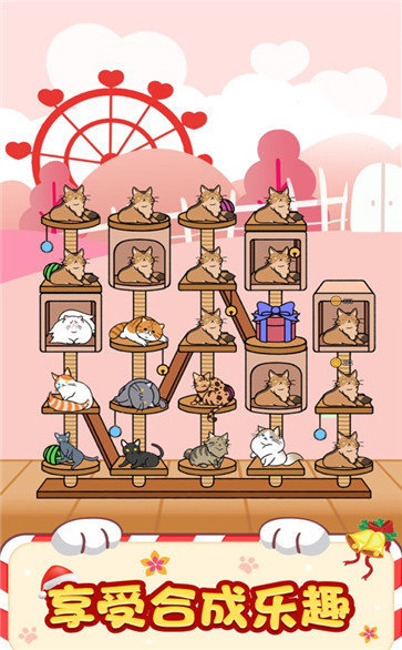 猫咪小家
