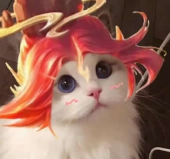 王者荣耀猫咪接头头像制作