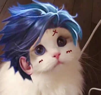 王者荣耀猫咪接头头像制作