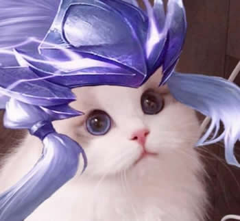 王者荣耀猫咪接头头像制作