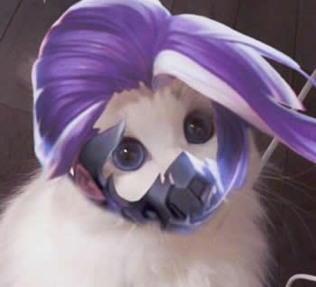 王者荣耀猫咪接头头像制作