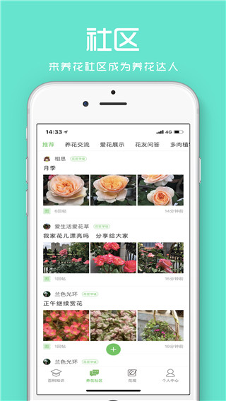 花百科最新版