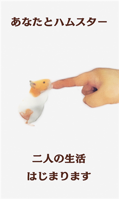 云仓鼠