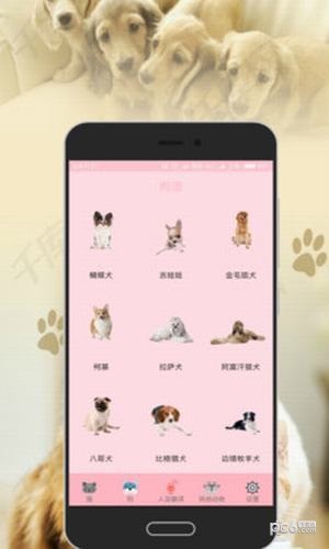 人狗人猫翻译器交流器最新版