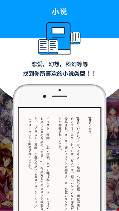 pixiv纯享版