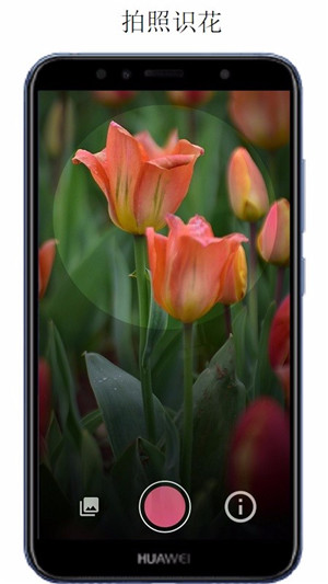 万物识别最新版