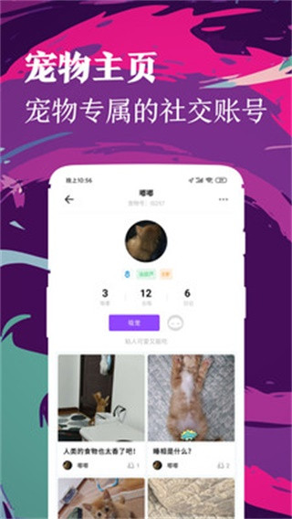 铲屎官安卓最新版