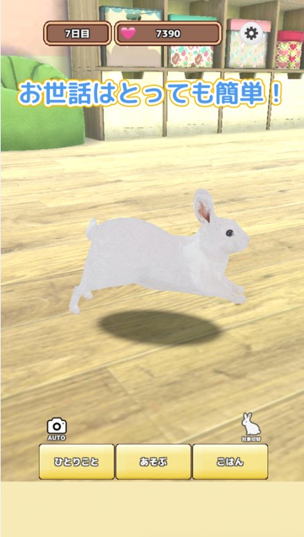 云端养兔子
