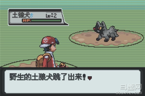 口袋妖怪