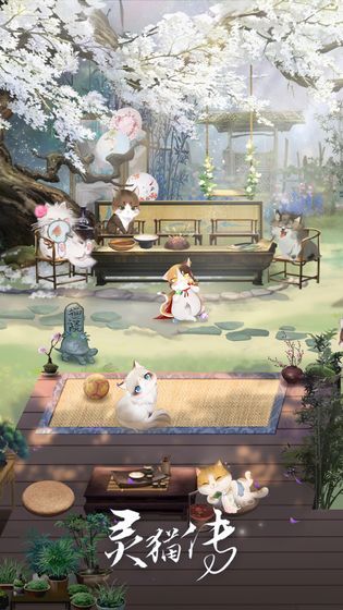 灵猫传手游版