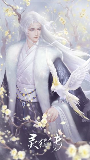 灵猫传手游版