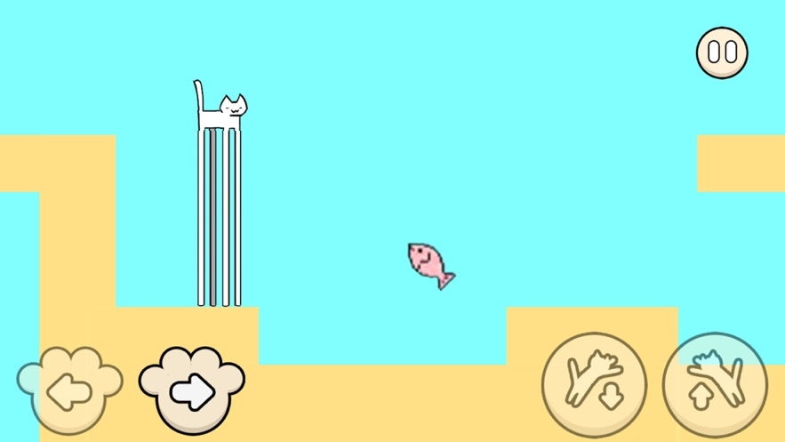 我家喵喵有点残