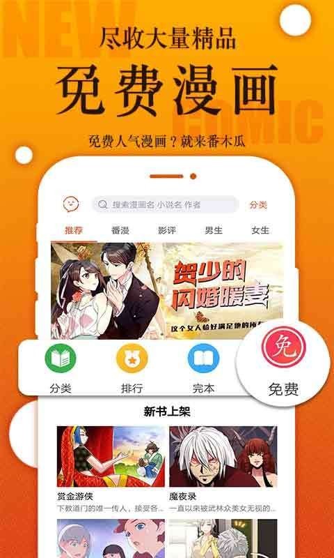 番木瓜纯净版