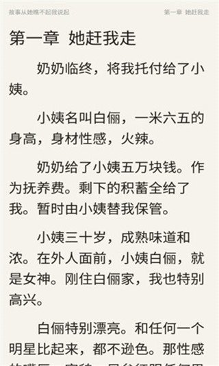 锐文小说IOS版