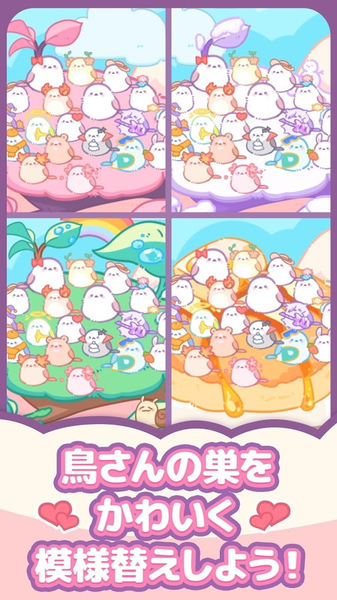 小鸟收集点一点养育小鸟中文版