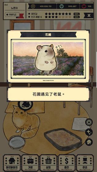 猫咪深夜食堂2021版