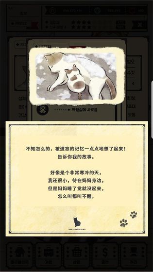 猫咪深夜食堂2021版