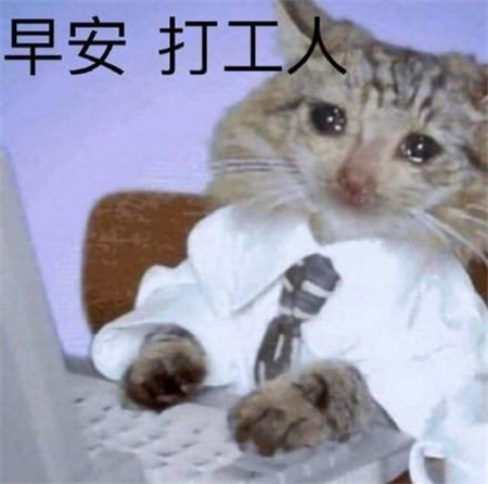 打工人打工魂打工都是人上人图片表情包