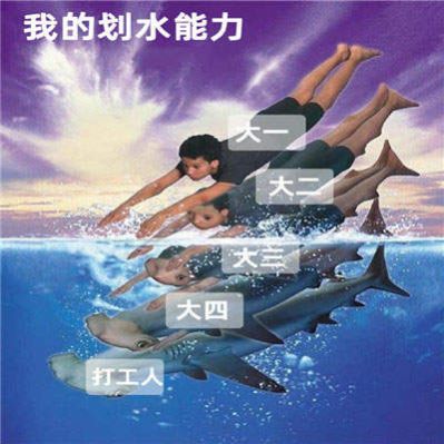 当代大学生进化史表情包