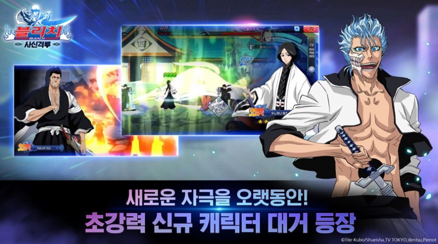 Bleach死神卍解之道