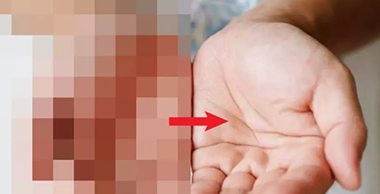 tecogan2020最新版