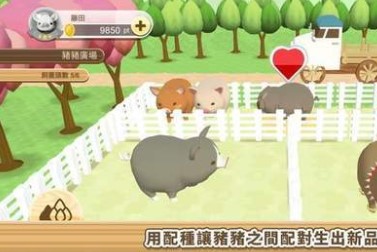 像素养猪场红包版