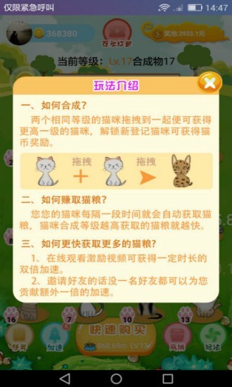 萌猫派对