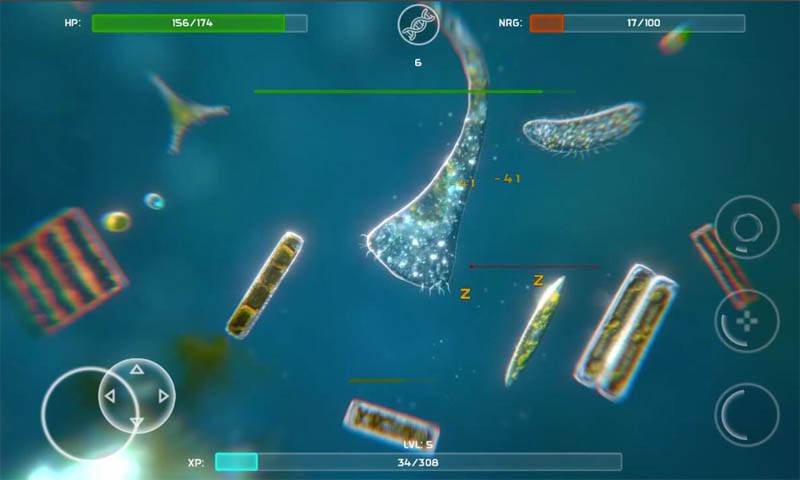 孢子进化论2021最新版