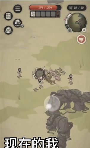 动物森林游戏下载中文版